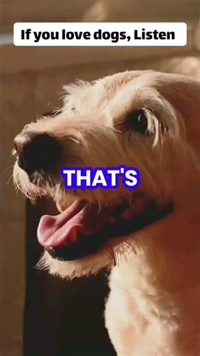 Dogs | 10 facts you will love about them