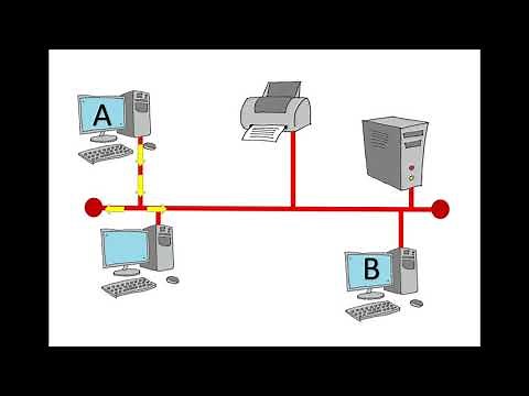 Bus Network Topology