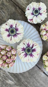 5.1K views · 182 reactions | FLOWER TO CAKE Flowers + Cake +...