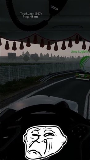 IDIOTS on the Road I Chaos and trolls I Funny moments - ETS2 Multiplayer (Episode 11/5)