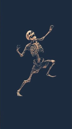 😱 BLACK SCREEN SKELETON LAUGH | 4K Horror Short | Loopable Jump Scare 💀