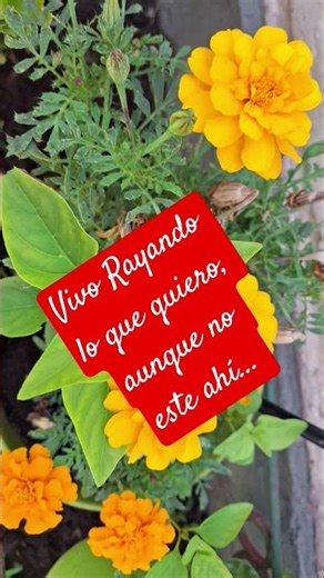 ...vivo rayando, lo que quiero...