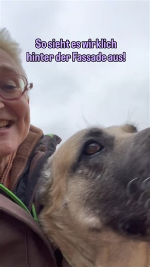 Herdenschutzhunde werden so oft missverstanden… Doch wer sich die Zeit nimmt, sie kennenzulernen, erlebt feinfühlige, sensible und unglaublich wundervolle Schätze💛 Erfahre, wie Herdenschutzhunde wirklich fühlen, denken und handeln in meiner Online-Schulung: www.mirjamcordt.com/os-hsh | Mirjam Cordt - DOG-InForm