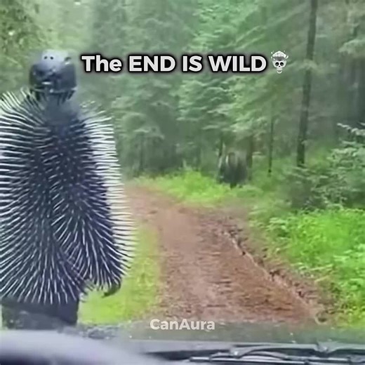 Introducing BalliBot: The Smart AI Revolution