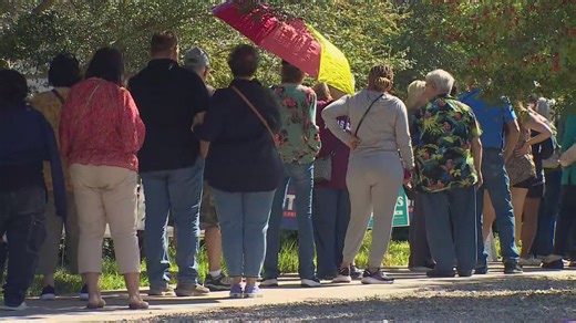 Dallas County says software glitch is causing long wait times at many voting locations