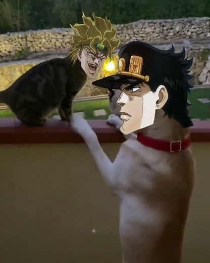 DIO VS Jotaro