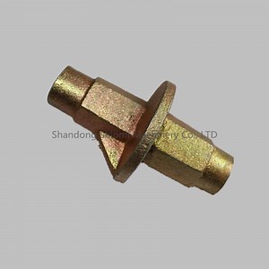 [Hot Item] Water Stopper Nut for Formwork Concrete