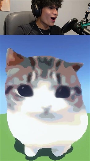 You build a cat in minecraft...