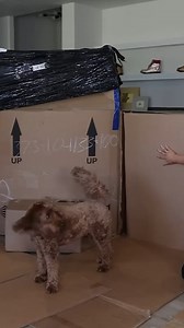 36K views · 266 reactions | I had no idea what was inside  #unboxing #review #fashion #products #lostandfound #reels | HopeScope | Facebook