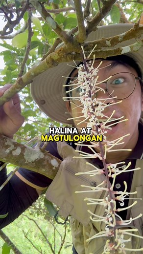 21K views · 1.6K reactions | Saribuhay at environmental stewardship | Ethan Hernandez | Facebook