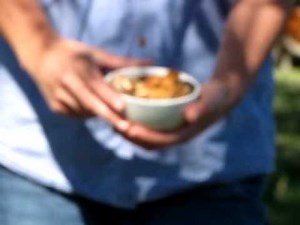 Pecan Tree Australia Growing Guide DaleysFruit.com.au