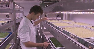 Vertikale Landwirtschaft in St. Pauls