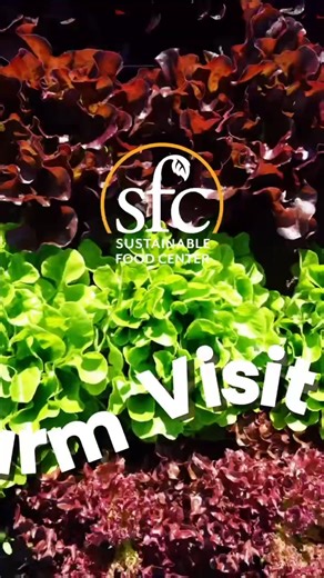 Farm visit to Lowlands Farm 🚜🌱 When Farmer Alice moved from Seattle to Austin, agriculture became a way to put roots down in the community, literally! Collaborative farming programs like the Farmshare Austin Farm Incubator are a creative solution to ✅support affordable access to land for small-scale farmers ✅create a farmer support network ✅ & produce delicious, nutritious food. Thanks to the Farm Incubator program at Green Gate Farms, Alice connected with other Austin farms like fellow incuba