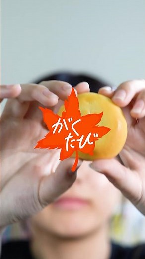 広島で買えるおすすめお土産3選！#広島グルメ #広島観光 #おみやげ館 #生キャラメルもみじ #広島チョコラ #anFanレモン #がくたび #hitひろしま観光大使