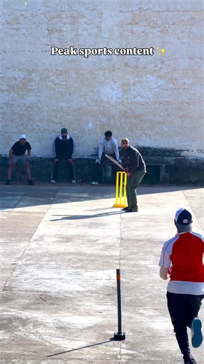 Epic Cricket Fielding Skills Unveiled