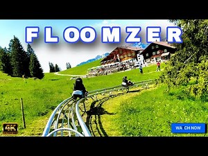 Riding the Fastest Alpine Coaster in Switzerland – FLOOMZER Adventure! 🇨🇭🎢