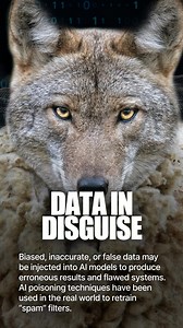 When traditional security measures fail to prevent false data from poisoning AI models, what can be done to mitigate the risk? #IEEE Impact Creator Raul Colcher shares tactics developed to counteract data hiding in disguise. | IEEE