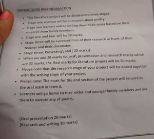 INSTRUCTIONS AND INFORMATIONThis literature project will be d... | Filo