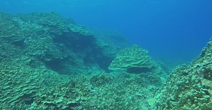 Video by JUN HO LEE on Pexels