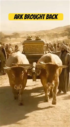 🙌 The Ark Brought Back in 10 Seconds (1 Chronicles 13:2-3)