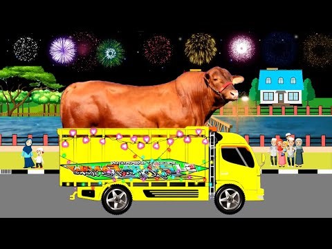 Truk Oleng Membawa Sapi Kurban Terbesar Takbiran Keliling Idul Adha 2025