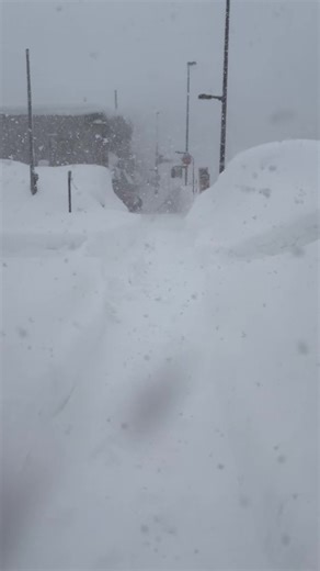 青森市内、完全ホワイトアウト☃️ 在来線は運休、タクシー来ない、バスは満員で乗れず… ということで青森駅→新青森駅を気合いで徒歩😂 いや〜久しぶりにやったわ、この感じ（笑） 無事着いたからヨシ👍 #最強寒波 #最長寒波 #ホワイトアウト #新青森駅まで歩いてみた