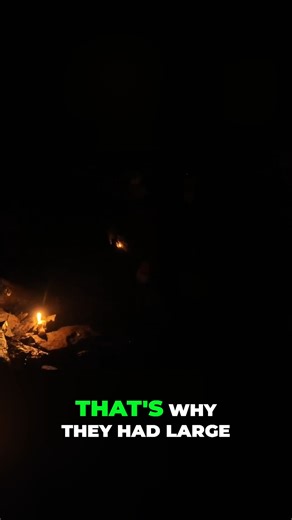 Exploring A Lost Mine ~ Lighting Tallow Candles And Reliving The Old Miner's World Underground. #lostmines #followers #UndergroundAdventures #BelowTheSurface #HiddenWorlds #SubterraneanExploration #UrbanUnderground #ExploreBelow #SecretPlaces | Lost Mines