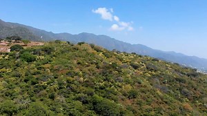 XBÁAL KANÁANT LIK del Maya: "mujer protectora de vida". Así luce Mariana Macias en el traje típico con el que nos representará en Miss Grand International 2021 ¡Desde Quintana Roo para el mundo! Creación de Samuel Stradda & Edgar Lozzano #México está listo para la competencia de trajes típicos en #MissGrandInternational #MissGrand #MGI AGRADECIMIENTOS Traje Típico: Samuel Estrada & Edgar Lozzano Video @sergioaguilarz Fotos @angelcoronadoz Locación Monte Coxala Hotel/SPA | Miss Mexico Organizatio