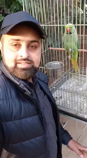 Fahad Saeed on Instagram: "AMAZING TALKING PARROT.. WEIRD BREED OF PARROT.. #foryoupageシforyou #foryouシpage #foryoupageviralシ゚ #foryoupagereels #viralreelschallenge #viralvideochallenge #viralchallenge #scary #talkingparrot #rareparrots #parrots #parrotlover #wildlifephotography"