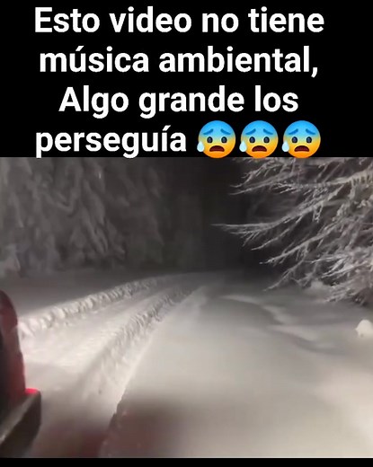 3.1M views · 58K reactions | Cosas aterradoras que los humanos nunca deberian de ver  #fyp #reels #viral | Alberto Terror y Misterios | Facebook