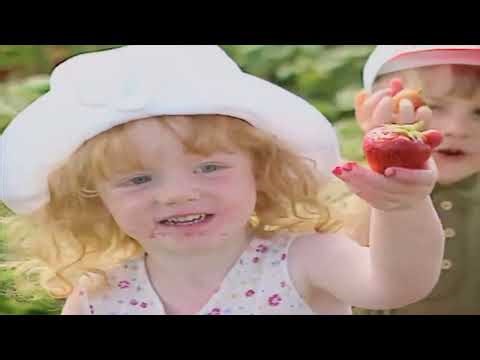 Teletubbies Series 1, Episode 35: Strawberry Picking