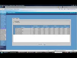 TBS How-To: Deltek Time & Expense Utilization Inquiry