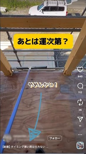 チャタテムシはこうして発生する！#shorts