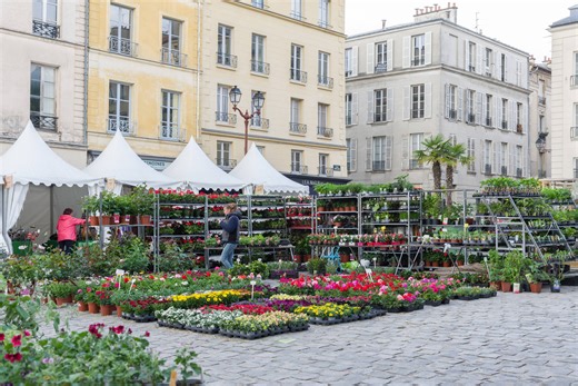 Esprit Jardin 2026 : le grand rendez-vous jardin revient avec des idées qui vont tout changer