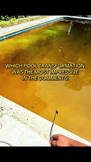 Impressive Pool Transformations: From Filthy to Fresh