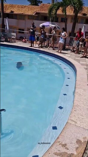 Capybara Swims Undisturbed in Brazil Hotel Pool as Guests Watch