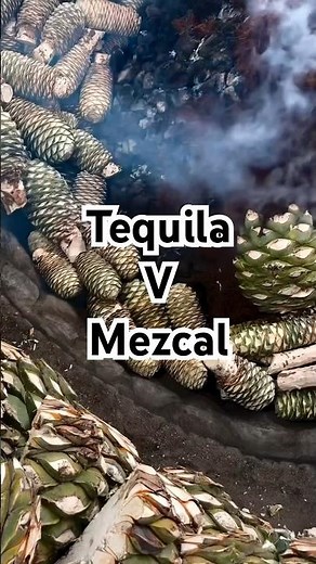 What’s the difference between Tequila & Mezcal? #tequila #agave #mezcal