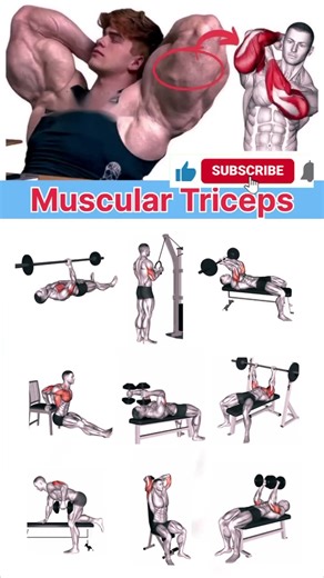 Triceps Workout Routine for Maximum Muscle Growth | Science-Based UK Edition