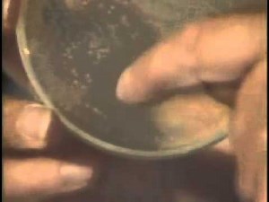 1928 Discovery of Penicillin by Alexander Fleming