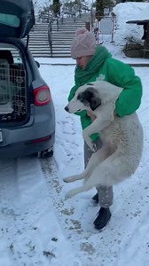 3.2K reactions · 104 shares |  **Geschichte von Letizia: Warum man...