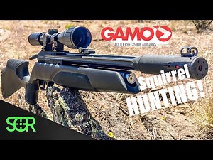 Gamo Arrow .22 Squirrel Hunting! Let’s smack these PESTS!