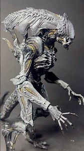 The palatine#customfigure #xenomorph #alien #palatine #horror#neca#figure