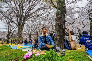 15 Cute Things To Do In Tokyo Japan: Let's Get Kawaii!