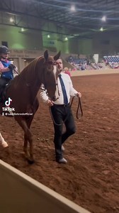 Check out the youngest riders at the 2022 National Academy Championship Horse Show. The future of our industry is bright (& they have GREAT equitation)! #asbdreams #sharethesaddlebred #nachs2022 | American Saddlebred Horse & Breeders Association