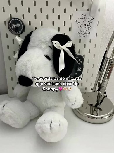 Recuerdos de Snoopy: Paratiii y Tom Kaulitz