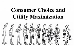 AP微观经济复习_Unit 2 Utility