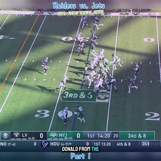 Raiders vs. Jets Week 13 Highlights: NFL 2020 Recap