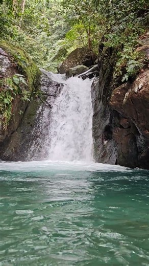 Tanawan Falls Baler #waterfall #philippines