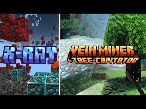 Textura X-Ray e Addon Vein Miner + Tree Capitator para Minecraft Bedrock Edition!