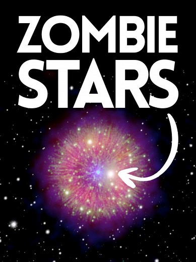 Zombie Stars: Surviving the Supernova Explosion